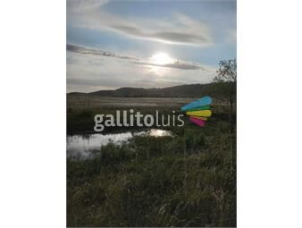https://www.gallito.com.uy/venta-de-chacra-con-5-hectareas-en-la-zona-de-partido-al-o-inmuebles-24957178
