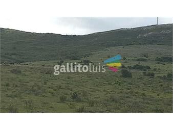 https://www.gallito.com.uy/venta-de-80-hectareas-de-campo-en-paraje-partido-al-norte-inmuebles-24957206