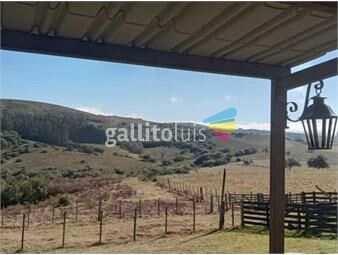 https://www.gallito.com.uy/venta-de-267-hectareas-de-campo-y-propiedad-en-sierras-de-inmuebles-24957306