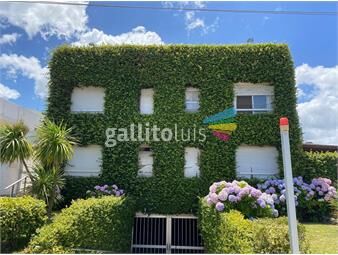 https://www.gallito.com.uy/alquiler-anual-apartamento-de-1-dormitorio-en-peninsula-fa-inmuebles-24949766