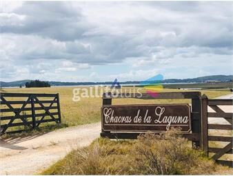 https://www.gallito.com.uy/chacra-turistica-en-laguna-del-sauce-inmuebles-17598121
