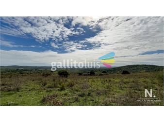 https://www.gallito.com.uy/chacra-de-5-hectareas-con-vistas-panoramicas-proximo-a-aigu-inmuebles-24072817