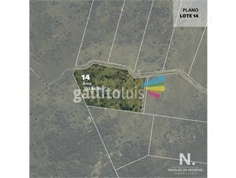 https://www.gallito.com.uy/chaxra-de-5-has-de-padrea-natural-y-vista-panoramica-proxi-inmuebles-24072820