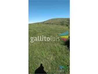 https://www.gallito.com.uy/linda-fraccion-de-campo-ganadero-con-aptitud-forestal-inmuebles-24717521