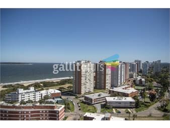 https://www.gallito.com.uy/miami-boulevard-punta-del-este-playa-mansa-dos-dormitori-inmuebles-25026652