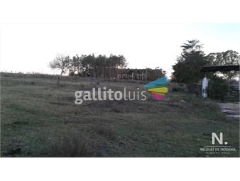 https://www.gallito.com.uy/campo-proximo-a-ruta-12-inmuebles-25034132