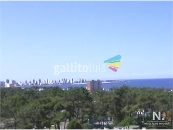 https://www.gallito.com.uy/apartamento-de-1-dormitorio-en-playa-mansa-espectacular-v-inmuebles-25035936