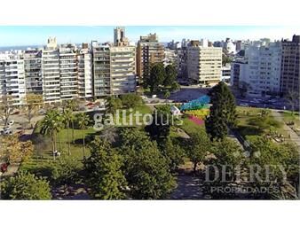 https://www.gallito.com.uy/alquiler-apartamento-villa-biarritz-delrey-propiedades-inmuebles-25026215
