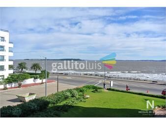 https://www.gallito.com.uy/vende-amplio-apartamento-de-2-dormitorios-en-peninsula-inmuebles-24996047