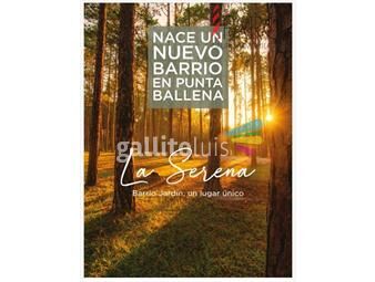 https://www.gallito.com.uy/la-serena-inmuebles-25050623