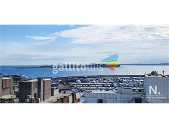 https://www.gallito.com.uy/apartamento-en-peninsula-3-dormitorios-inmuebles-24988018