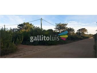 https://www.gallito.com.uy/terreno-1275-m2-en-venta-sobre-avenida-s-antonio-inmuebles-25068934
