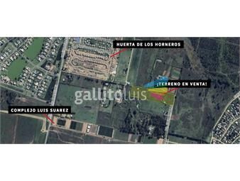 https://www.gallito.com.uy/terreno-en-venta-proximo-a-car-one-y-al-complejo-luis-suare-inmuebles-24771965