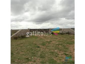 https://www.gallito.com.uy/excelente-campo-ganadero-apto-para-olivos-vid-eucaliptus-o-inmuebles-22537887