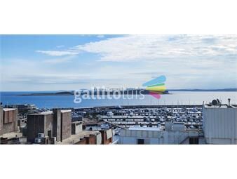 https://www.gallito.com.uy/apartamento-en-peninsula-3-dormitorios-inmuebles-25137818
