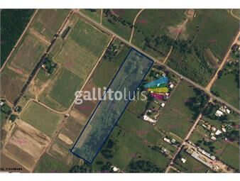 https://www.gallito.com.uy/venta-chacra-terreno-3-hectareas-melilla-mejoras-inmuebles-25189730
