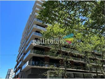 https://www.gallito.com.uy/alquiler-apartamento-1-dormitorio-a-estrenar-cordon-inmuebles-24782535