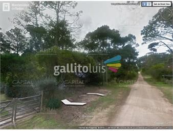https://www.gallito.com.uy/lote-en-venta-la-juanita-lote-en-venta-zona-bosque-inmuebles-25198325