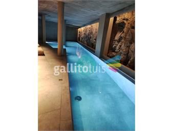 https://www.gallito.com.uy/venta-ap-cvieja-2d-con-renta-amenities-edalmaduc-inmuebles-25208642