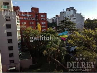https://www.gallito.com.uy/alquiler-apartamento-pocitos-delrey-propiedades-inmuebles-25213542