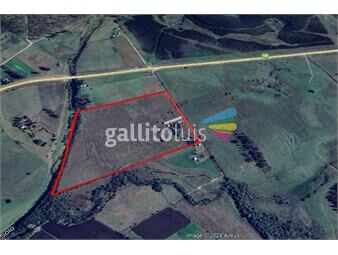 https://www.gallito.com.uy/campo-en-arrendamiento-12-hectareas-migues-inmuebles-25229807