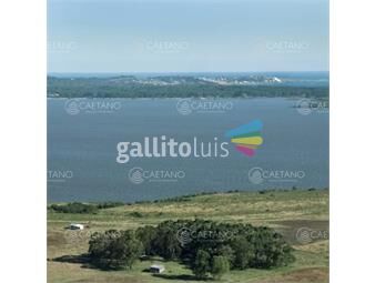 https://www.gallito.com.uy/chacras-5-hectareas-laguna-del-sauce-inmuebles-21765213