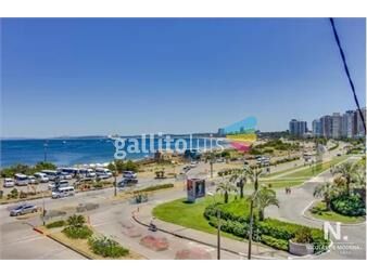 https://www.gallito.com.uy/apartamento-en-venta-frente-al-mar-punta-de-este-inmuebles-25041726