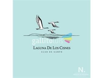 https://www.gallito.com.uy/terreno-amplio-en-laguna-de-los-cisnes-inmuebles-25042906