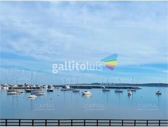 https://www.gallito.com.uy/excelente-apartamento-con-vista-al-mar-frente-al-puerto-inmuebles-22345308