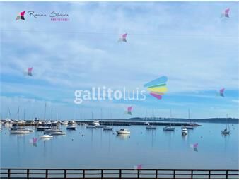 https://www.gallito.com.uy/excelente-apartamento-con-vista-al-mar-frente-al-puerto-inmuebles-24917447
