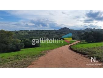 https://www.gallito.com.uy/chacra-de-5-has-rodeada-de-hermosas-vistas-a-las-sierras-inmuebles-25042573