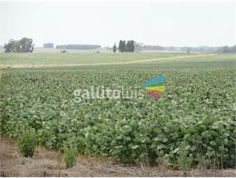 https://www.gallito.com.uy/campo-en-venta-rocha-agricola-ganadero-atm-4277-inmuebles-22512229