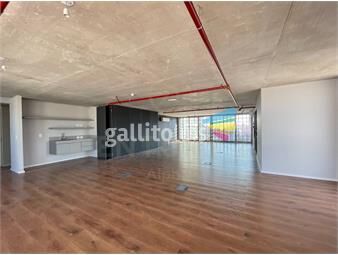 https://www.gallito.com.uy/amplia-oficina-en-ultimo-piso-ciudad-vieja-con-terraza-inmuebles-23690460