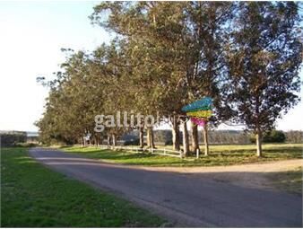 https://www.gallito.com.uy/avenida-eguzquiza-miramar-acres-inmuebles-20645154