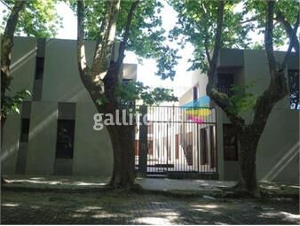 https://www.gallito.com.uy/hermoso-apartamento-en-barrio-historico-con-renta-inmediat-inmuebles-20645303