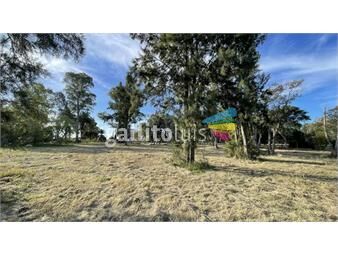 https://www.gallito.com.uy/parque-jousten-manzana-d-lote-3-inmuebles-22481418