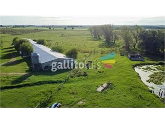 https://www.gallito.com.uy/venta-granja-avicola-de-18-hectareas-san-jacinto-inmuebles-25337837