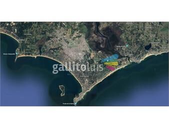 https://www.gallito.com.uy/terreno-de-321351-m2-apto-para-viviendas-inmuebles-24441016