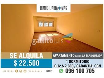 https://www.gallito.com.uy/apartamento-alquiler-montevideo-imasuy-m-inmuebles-25363587