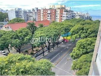 https://www.gallito.com.uy/parodi-venta-apartamento-av-brasil-y-26-de-marzo-inmuebles-25334306
