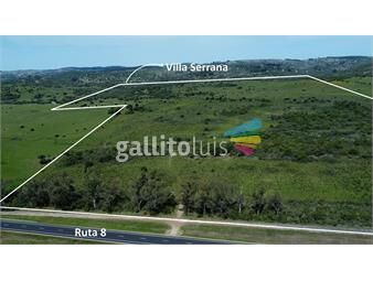 https://www.gallito.com.uy/venta-campo-55-has-ruta-8-villa-serrana-lavalleja-inmuebles-24601276