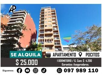 https://www.gallito.com.uy/apartamento-en-alquiler-de-1-dormitorio-c-cochera-en-po-inmuebles-25390122