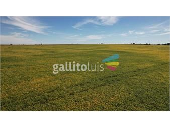https://www.gallito.com.uy/excelente-unidad-agricola-100-arable-inmuebles-25389927