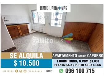 https://www.gallito.com.uy/apartamento-alquiler-paso-molino-montevideo-imasuy-b-inmuebles-25397678