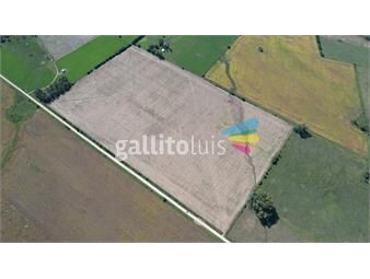 https://www.gallito.com.uy/excelente-unidad-agricola-100-arable-inmuebles-25389926