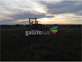 https://www.gallito.com.uy/campo-en-jose-ignacio-100-hectareas-inmuebles-25401296