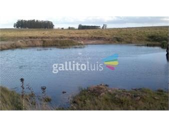 https://www.gallito.com.uy/campo-de-35-has-buen-suelo-con-tajamar-cañada-agua-perman-inmuebles-25405919