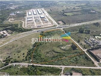 https://www.gallito.com.uy/terreno-logistico-sobre-ruta-5-inmuebles-25433952