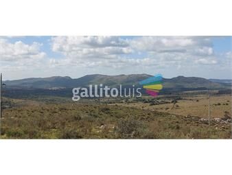 https://www.gallito.com.uy/chacra-en-venta-ruta-109-zona-de-sierras-financio-inmuebles-25438094