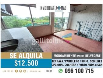 https://www.gallito.com.uy/alquiler-apartamento-belvedere-montevideo-imasuy-b-inmuebles-25444864